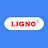 PT Ligno Specialty Chemicals