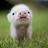 @user-ck1gu6zv8i