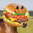 rTVgQwWwe5A-channel-avatar-Llama