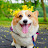 youtube avatar