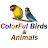 ColorFul Birds & Animals