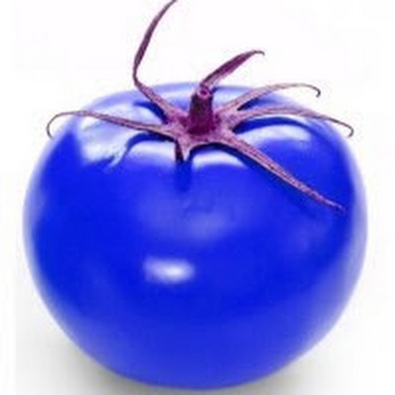 Синий Помидор (Ремонт и Тюнинг Авто)