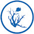 MJAsm9NI_yk-channel-avatar-Blue Corner Conservation