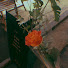 GgJAIAa4QRo-channel-avatar-히얼유HEAR YOU