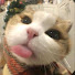 _thzjYfHDfw-channel-avatar-Xmas
