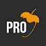 X5AUUf7VISQ-channel-avatar-FL Studio PRO