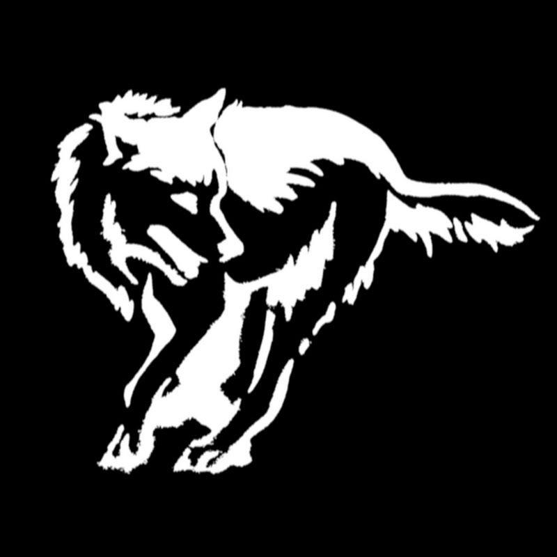 datenwolf icon