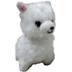 マダン（biririmadan）