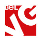 BelVG eCommerсe Development Company logo