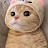 @서문찬-x9x
