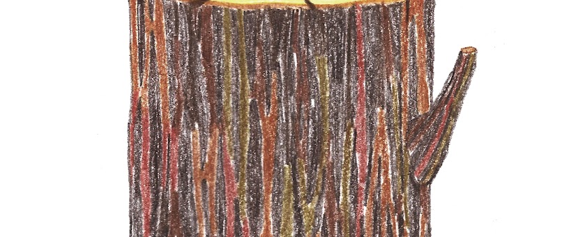 Artist Thumbnail