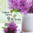 @user-yp1jv3wu6m