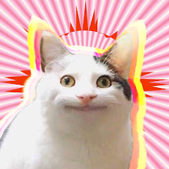 きゃんどぅ