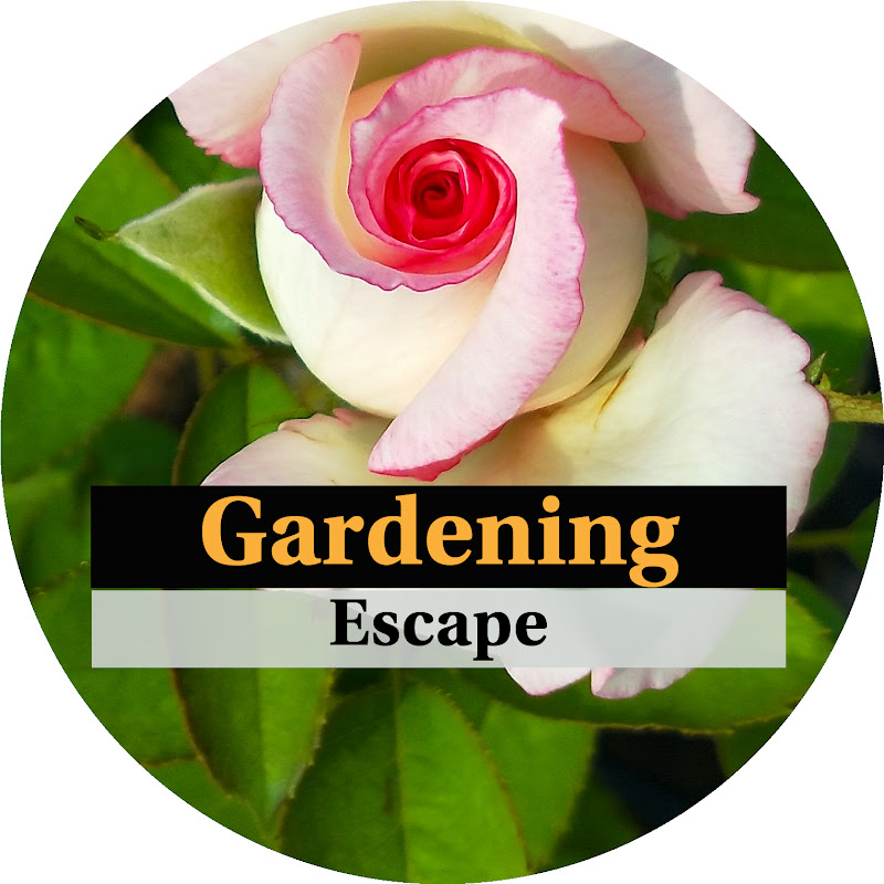 Gardening Escape