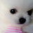 @스피엘303