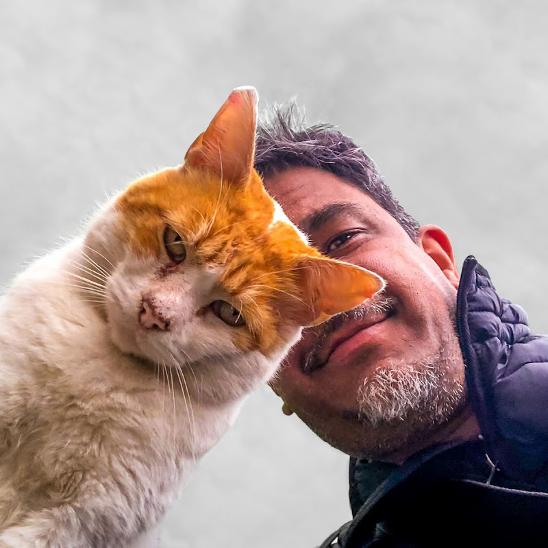 Channel Avatar