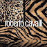 Go-PGW-50aQ-channel-avatar-Roberto Cavalli