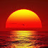 IFFRm0vNnh4-channel-avatar-Relax With Nature