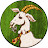 @HumbugShow's avatar