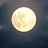 FisCXKkUYz0-channel-avatar-Lunar Automaton ASMR