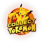 Collect Pokemon