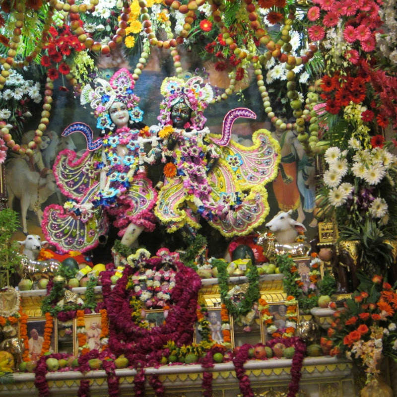Krishna Prasad