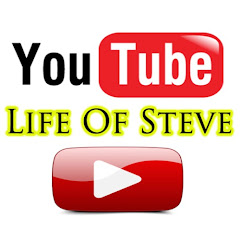 Life of Steve net worth