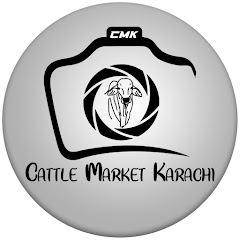 Cattle Market Karachi Avatar