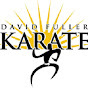 David Fuller Karate logo