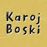 smHXqfcbRRw-channel-avatar-Karoj Boski