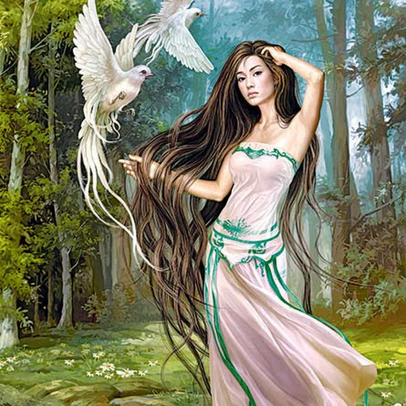 Виктория Диденко Logo