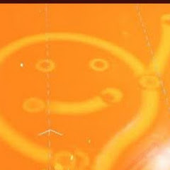 ラナトチャンネル