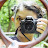 @lensbaad6069 Avatar