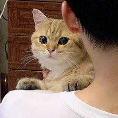 蛋挞 DANTAアイコン画像