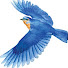 T7bJIfvyZTc-channel-avatar-asmr bluebird