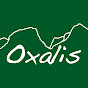 Oxalis Adventure