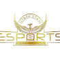 Esports Uzbekistan logo