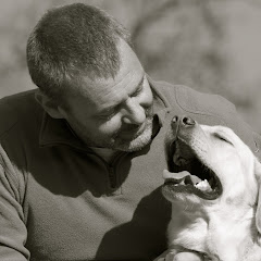 Aktiv Hund Hundeskole