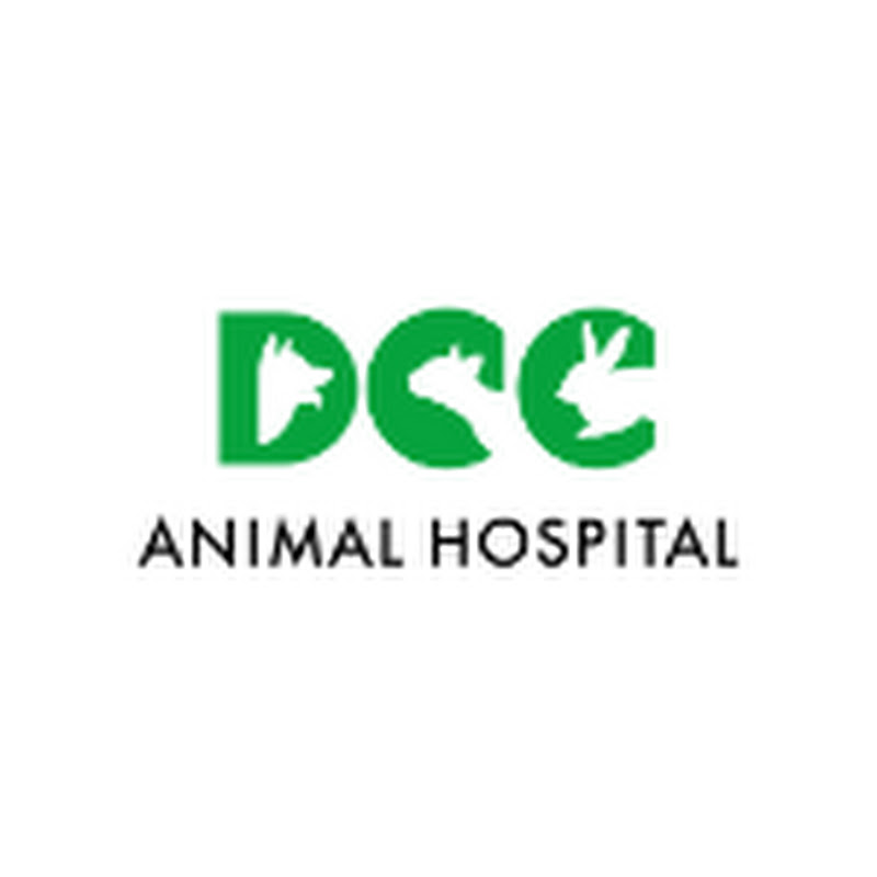 DCC Animal Hospital