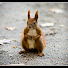 Pve6DGrjD04-channel-avatar-WOŁEK