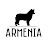 Armenia Border Collie