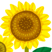 himawari