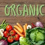 ORGANIC HEALTH logo