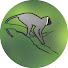 pkGaLaJG3GQ-channel-avatar-Vervet Monkey Foundation