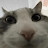 @elchacho4272's avatar