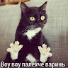 Автор