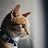 avatar of @bendoverbw