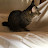 @singingandsaxophonelesson466's avatar
