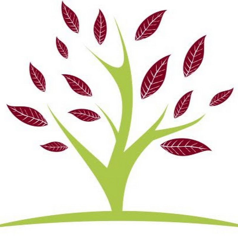 Superfood World