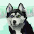 @rogercurt7770 Avatar